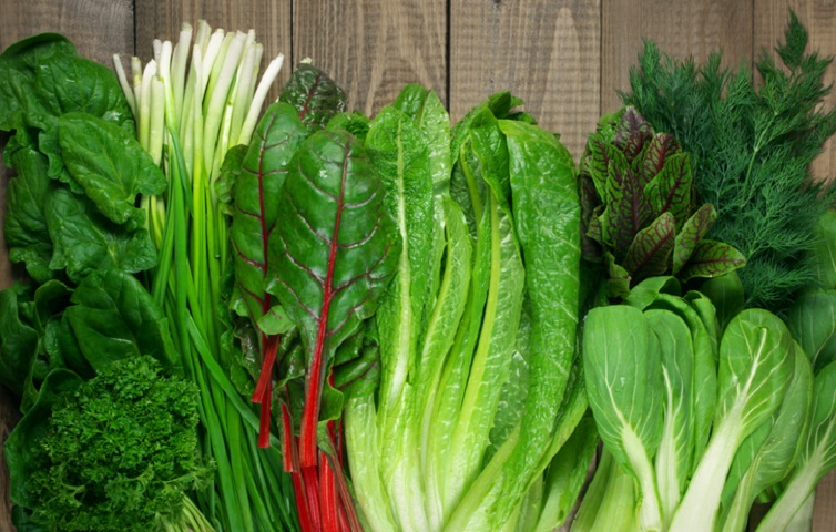 Best Foods for Weight Loss - Leafy Greens Vegetables