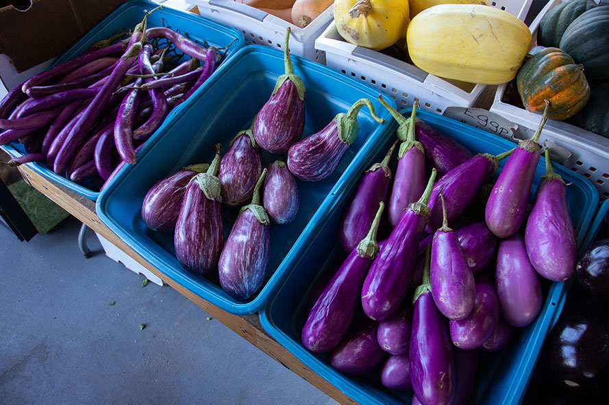 Interesting Facts About Eggplant