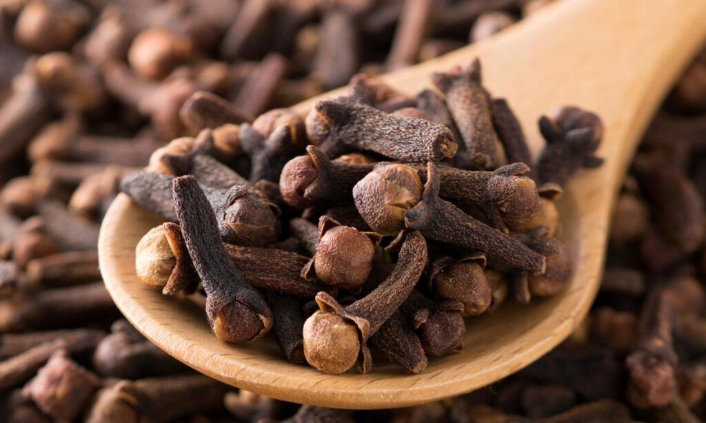 Cloves