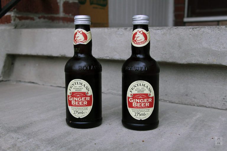 "ginger beer nutrition facts"